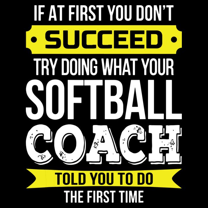 Softball Coach If At First You Dont Succeed Funny Button