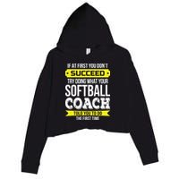 Softball Coach If At First You Dont Succeed Funny Crop Fleece Hoodie