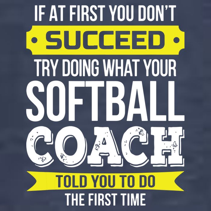 Softball Coach If At First You Dont Succeed Funny Sweatshirt