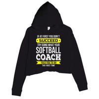 Softball Coach If At First You Dont Succeed Funny Crop Fleece Hoodie