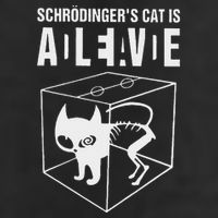 SchrodingerS Cat Is Alive Dead Paradox Science Geek Cool Comfort Performance Bucket Hat