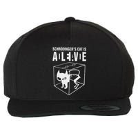 SchrodingerS Cat Is Alive Dead Paradox Science Geek Wool Snapback Cap