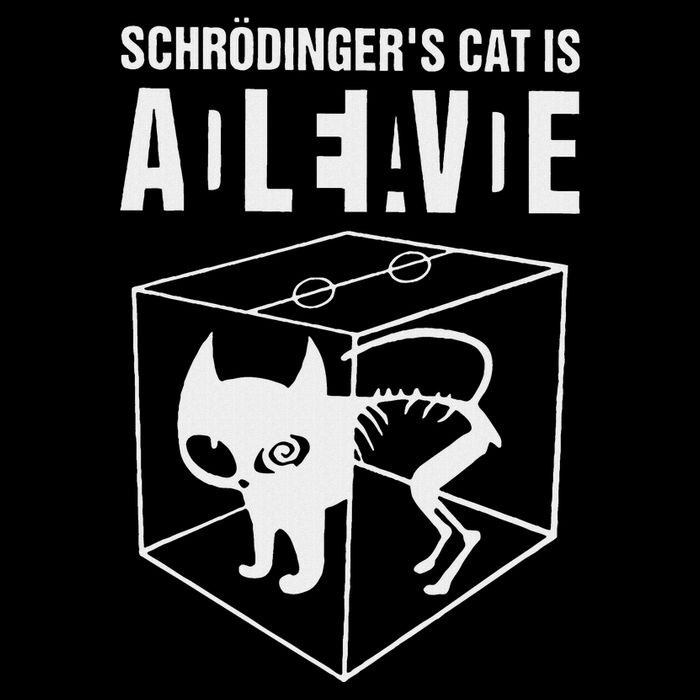 SchrodingerS Cat Is Alive Dead Paradox Science Geek Mousepad