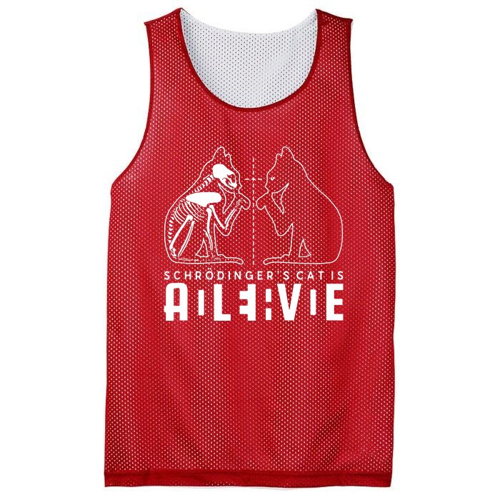 SchrodingerS Cat Is Both Dead And Alive Physics Physicist Mesh Reversible Basketball Jersey Tank