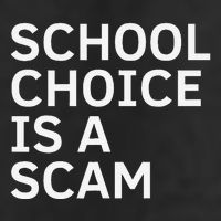 School Choice Is A Scam Garment-Dyed Heavyweight T-Shirt