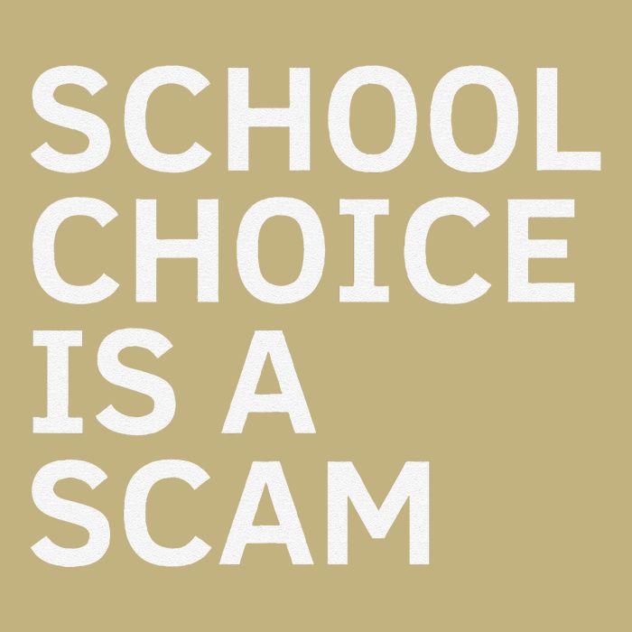 School Choice Is A Scam Cooling Performance Crew T-Shirt