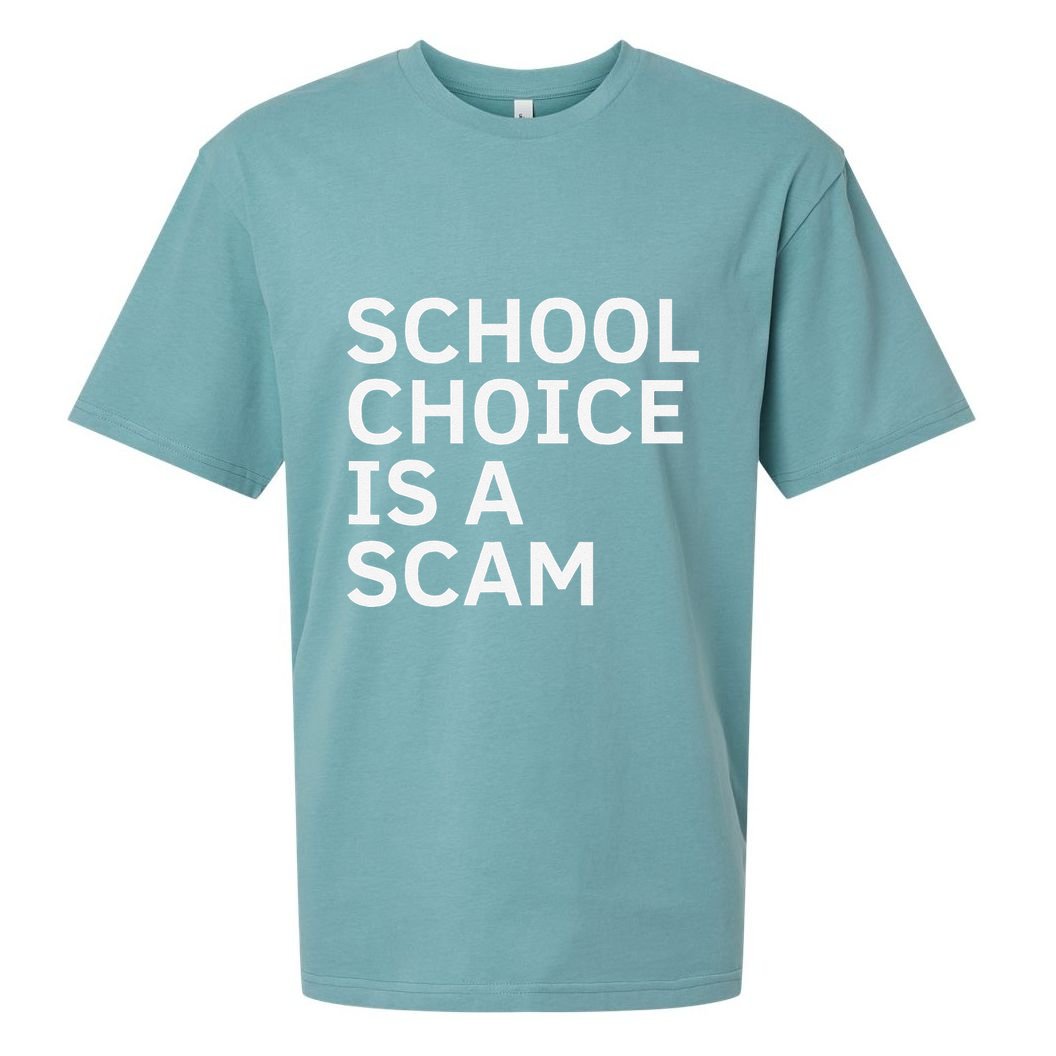 School Choice Is A Scam Sueded Cloud Jersey T-Shirt
