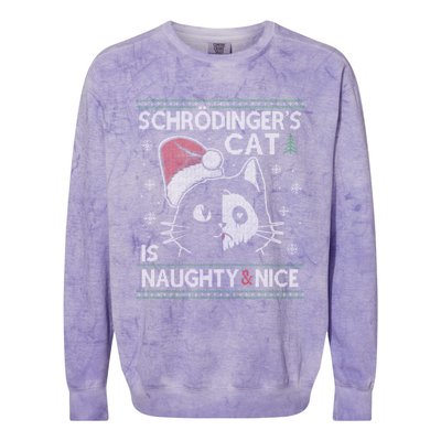 SchröDingerS Cat Is Naughty And Nice Physicist Christmas Colorblast Crewneck Sweatshirt