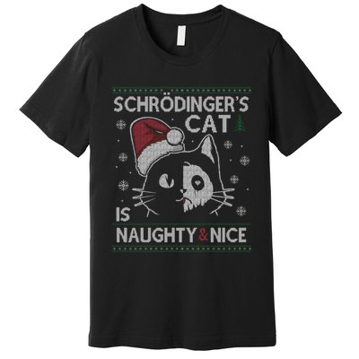 SchröDingerS Cat Is Naughty And Nice Physicist Christmas Premium T-Shirt