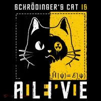 SchrodingerS Cat Is Dead And Alive Quantum Physics Button