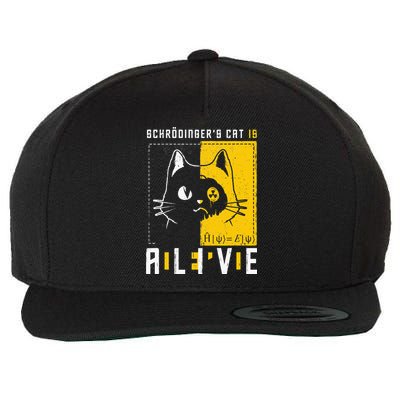 SchrodingerS Cat Is Dead And Alive Quantum Physics Wool Snapback Cap