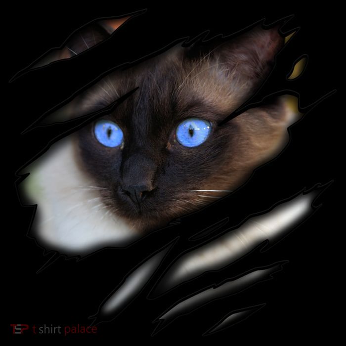 Siamese Cat In Me Design Cadesign Purebred Cat Gift Cooling Performance Long Sleeve Crew