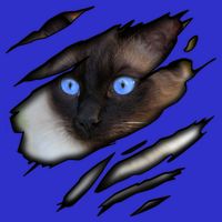 Siamese Cat In Me Design Cadesign Purebred Cat Gift Womens T-Shirt