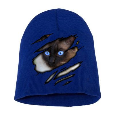 Siamese Cat In Me Design Cadesign Purebred Cat Gift Short Acrylic Beanie