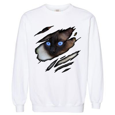 Siamese Cat In Me Design Cadesign Purebred Cat Gift Garment-Dyed Sweatshirt