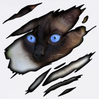 Siamese Cat In Me Design Cadesign Purebred Cat Gift Garment-Dyed Sweatshirt