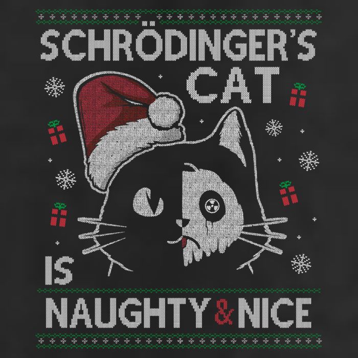 SchröDingerS Cat Is Naughty And Nice Physicist Christmas Cute Gift 7 Panel Mesh Trucker Snapback Hat