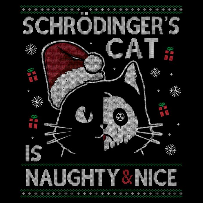 SchröDingerS Cat Is Naughty And Nice Physicist Christmas Cute Gift Impact Tech Backpack