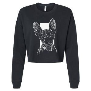 Sphinx cat lover Sphynx hairless cat breed naked cat Cropped Pullover Crew