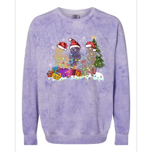 Santa Cat Light Gorgeous Reindeer Pajama Christmas Cat Lover Gift Colorblast Crewneck Sweatshirt