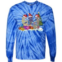 Santa Cat Light Gorgeous Reindeer Pajama Christmas Cat Lover Gift Tie-Dye Long Sleeve Shirt