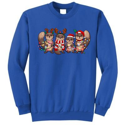 Squirrel Christmas Light Reindeer Santa Xmas Squirrel Lover Great Gift Tall Sweatshirt