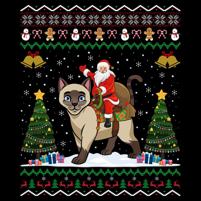 Siamese Cat Lover Santa Riding Siamese Cat Ugly Christmas Wool Snapback Cap