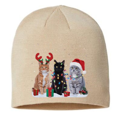 Santa Cat Light Gorgeous Reindeer Pajama Christmas Cat Lover Sustainable Beanie