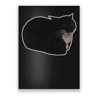 Spinning Cat Meme Maxwell The Cat Meme Poster