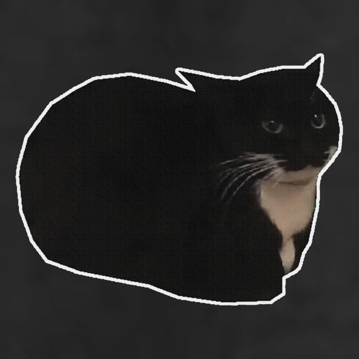 Spinning Cat Meme Maxwell The Cat Meme Trucker Hat