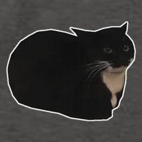 Spinning Cat Meme Maxwell The Cat Meme Vector Backpack