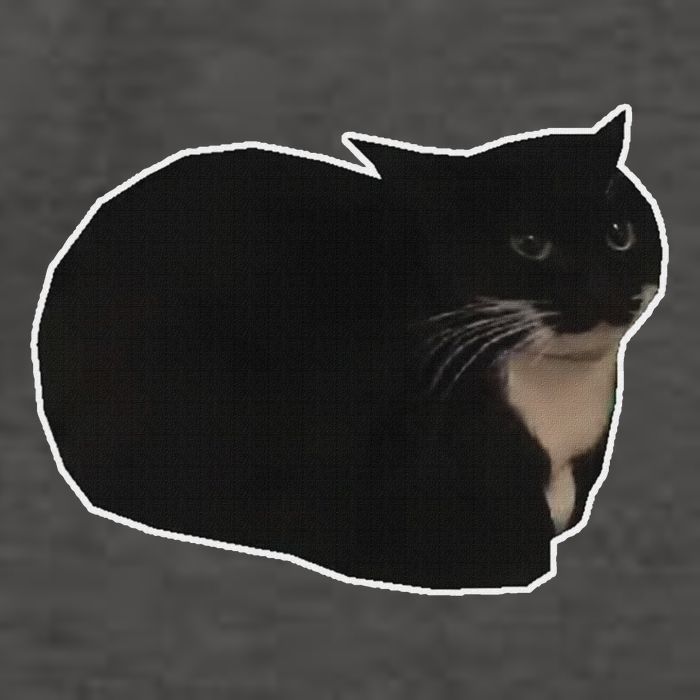 Spinning Cat Meme Maxwell The Cat Meme Vector Backpack