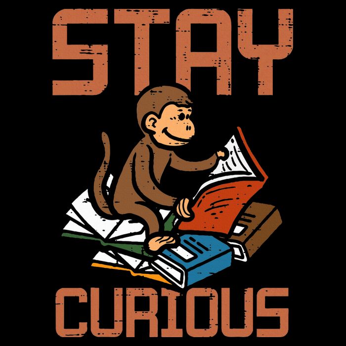 Stay Curious Monkey Reading Bucket Hat