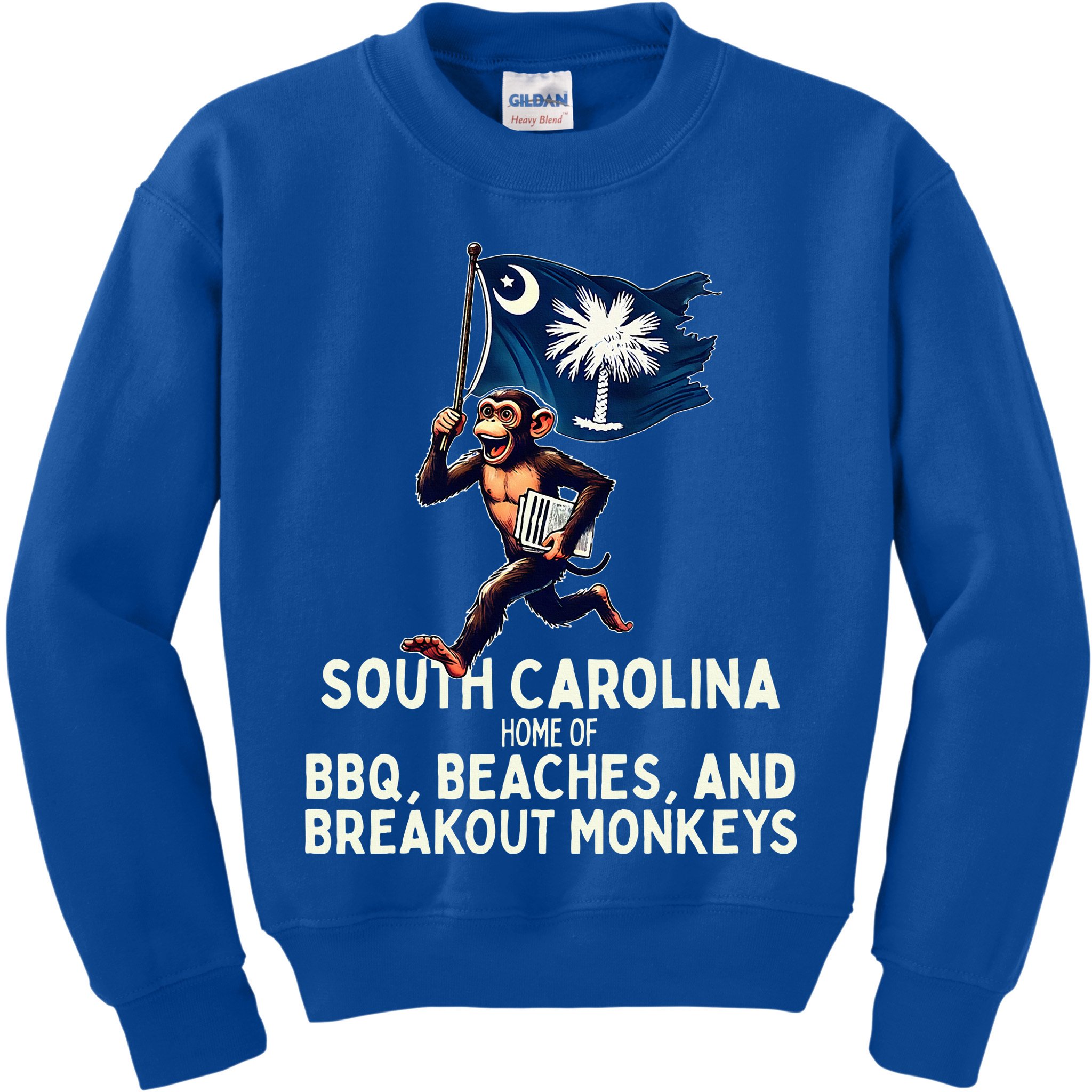 South Carolina Monkey Escape Kids Sweatshirt