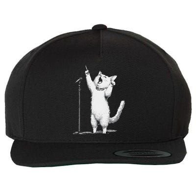 Singing Cat Microphone Enthusiast Wool Snapback Cap