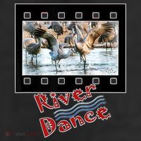 Sandhill Crane Migration Photograph River Dance 11oz C Handle Ceramic Mug