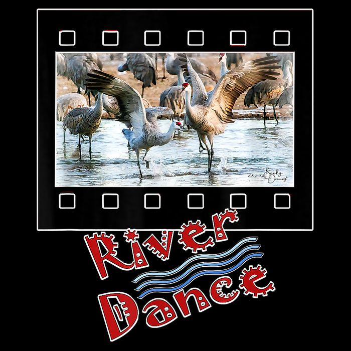 Sandhill Crane Migration Photograph River Dance Drawstring Bag