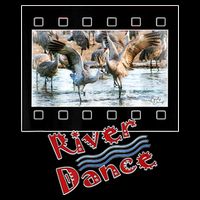 Sandhill Crane Migration Photograph River Dance Bag