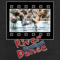 Sandhill Crane Migration Photograph River Dance Hat