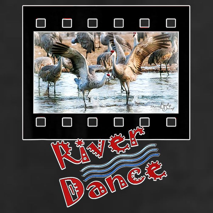 Sandhill Crane Migration Photograph River Dance Golf Towel