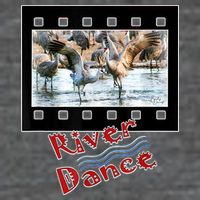Sandhill Crane Migration Photograph River Dance 7-Panel Snapback Hat