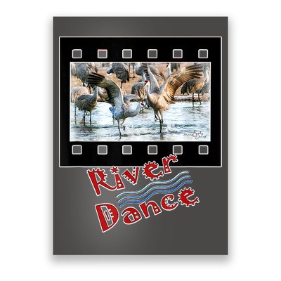 Sandhill Crane Migration Photograph River Dance Poster