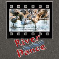 Sandhill Crane Migration Photograph River Dance Cotton Canvas Backpack