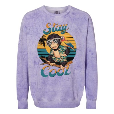 Stay Cool Monkey With Parrot Friend Jungle Time Fun Colorblast Crewneck Sweatshirt