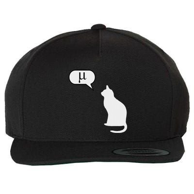 Science Cat Math Cat Statistics Cat Biology Cat Kitten Wool Snapback Cap