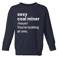 Sexy Coal Miner Definition Funny Mining Toddler Sweatshirt