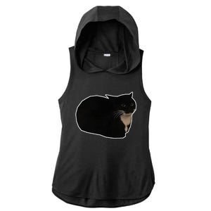 Spinning Cat Meme Maxwell The Cat Meme Ladies PosiCharge Tri-Blend Wicking Draft Hoodie Tank