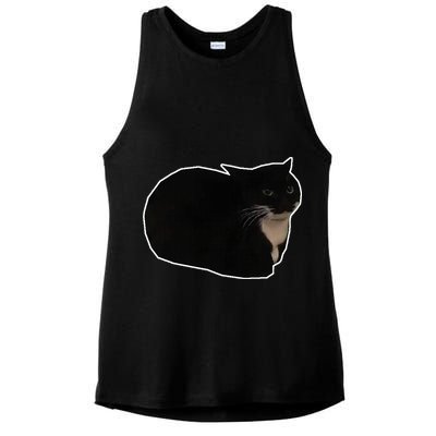 Spinning Cat Meme Maxwell The Cat Meme Ladies PosiCharge Tri-Blend Wicking Tank