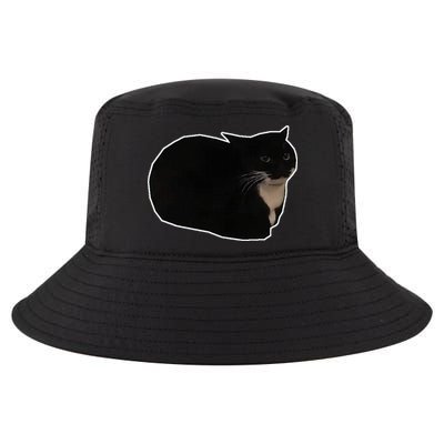 Spinning Cat Meme Maxwell The Cat Meme Cool Comfort Performance Bucket Hat