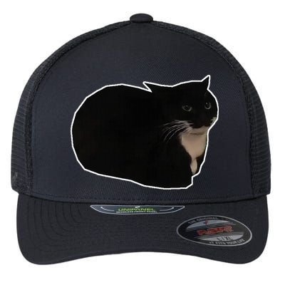 Spinning Cat Meme Maxwell The Cat Meme Flexfit Unipanel Trucker Cap